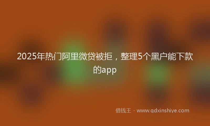 2025年热门阿里微贷被拒，整理5个黑户能下款的app