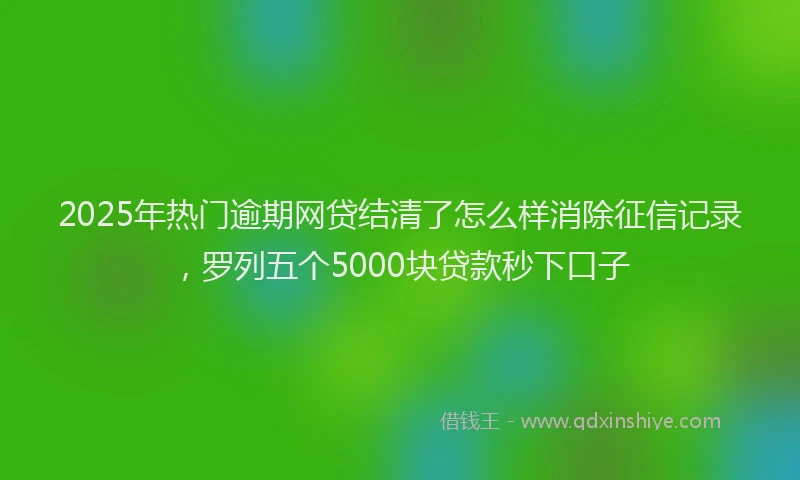 2025年热门逾期网贷结清了怎么样消除征信记录，罗列五个5000块贷款秒下口子