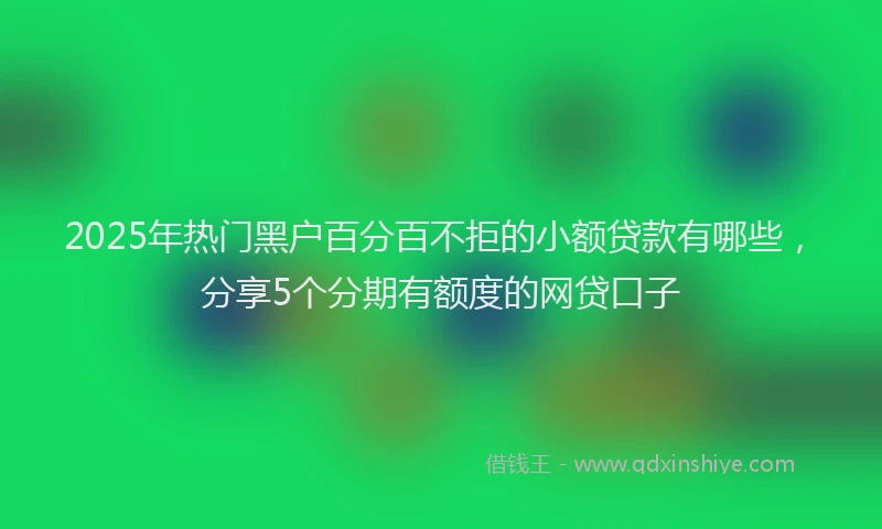 2025年热门黑户百分百不拒的小额贷款有哪些，分享5个分期有额度的网贷口子
