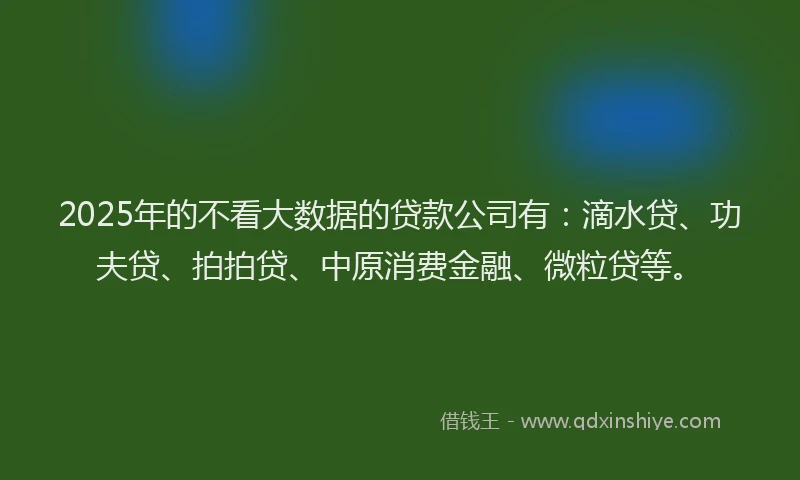 2025年的不看大数据的贷款公司有：滴水贷、功夫贷、拍拍贷、中原消费金融、微粒贷等。