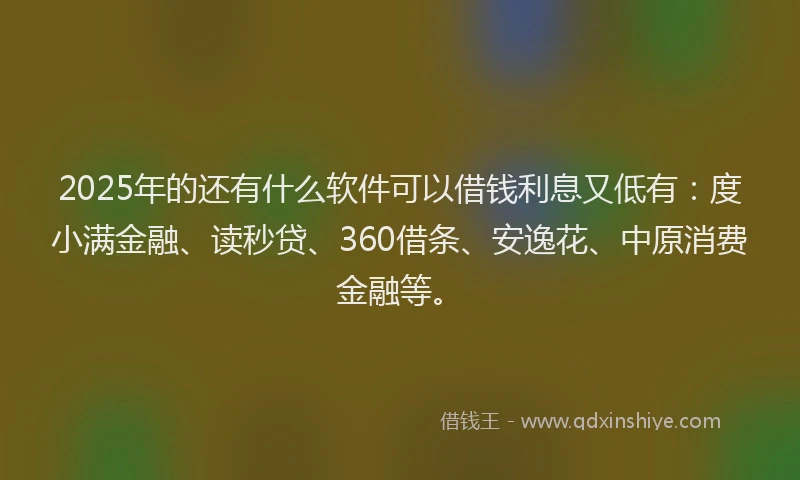 2025年的还有什么软件可以借钱利息又低有：度小满金融、读秒贷、360借条、安逸花、中原消费金融等。