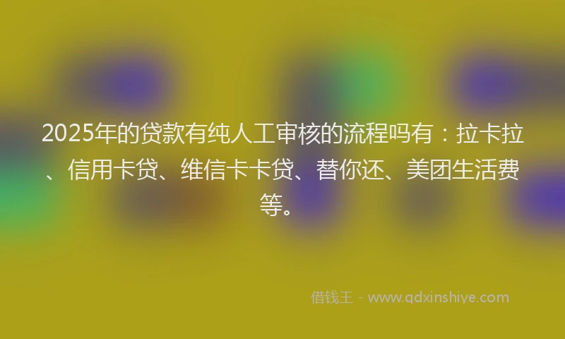 2025年的贷款有纯人工审核的流程吗有：拉卡拉、信用卡贷、维信卡卡贷、替你还、美团生活费等。