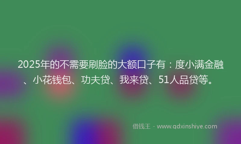 2025年的不需要刷脸的大额口子有：度小满金融、小花钱包、功夫贷、我来贷、51人品贷等。