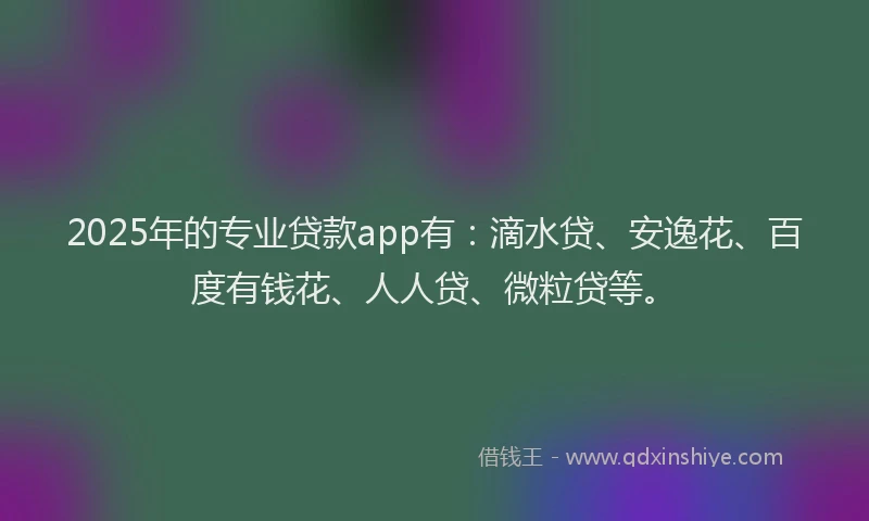 2025年的专业贷款app有：滴水贷、安逸花、百度有钱花、人人贷、微粒贷等。