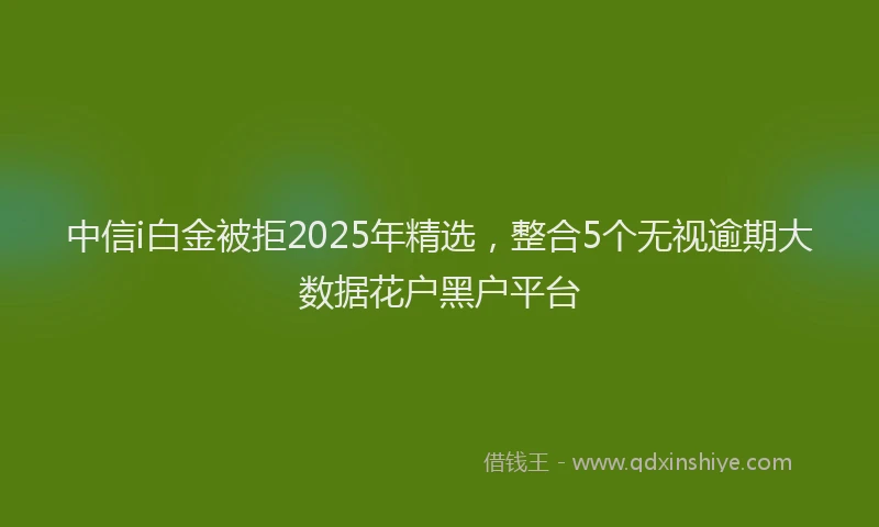中信i白金被拒2025年精选，整合5个无视逾期大数据花户黑户平台