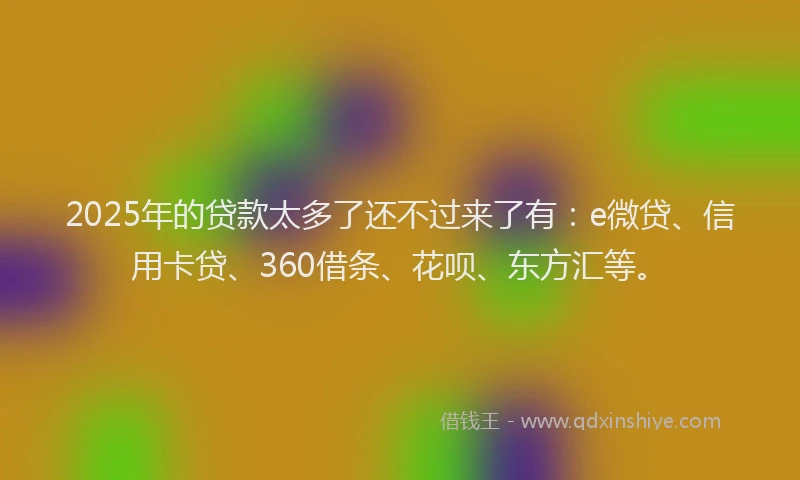 2025年的贷款太多了还不过来了有：e微贷、信用卡贷、360借条、花呗、东方汇等。