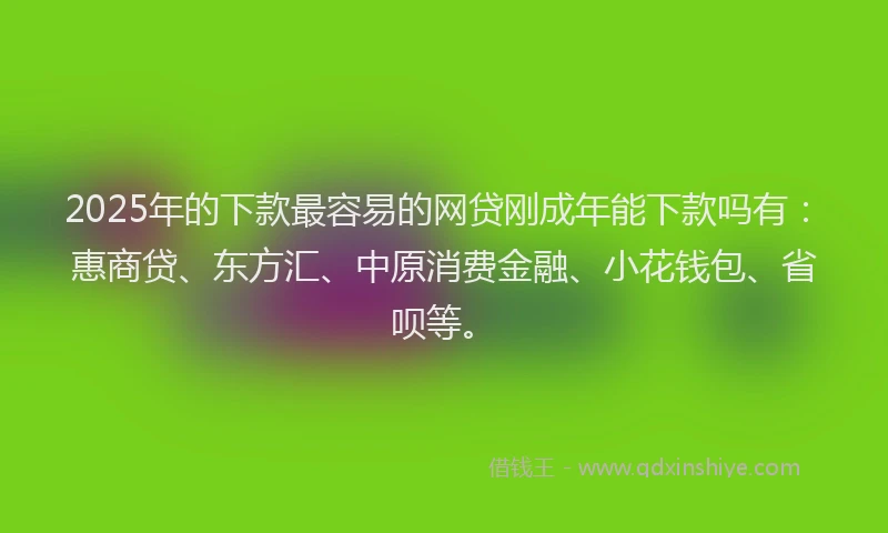 2025年的下款最容易的网贷刚成年能下款吗有：惠商贷、东方汇、中原消费金融、小花钱包、省呗等。