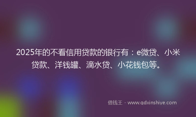 2025年的不看信用贷款的银行有：e微贷、小米贷款、洋钱罐、滴水贷、小花钱包等。