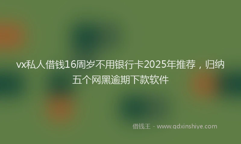 vx私人借钱16周岁不用银行卡2025年推荐，归纳五个网黑逾期下款软件