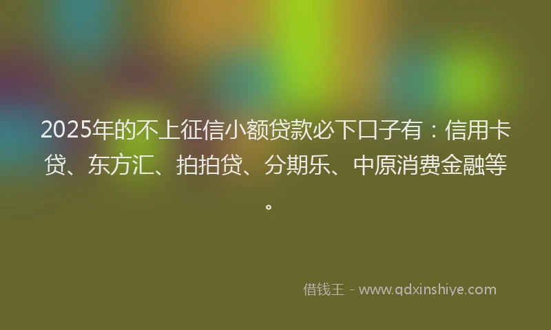2025年的不上征信小额贷款必下口子有：信用卡贷、东方汇、拍拍贷、分期乐、中原消费金融等。