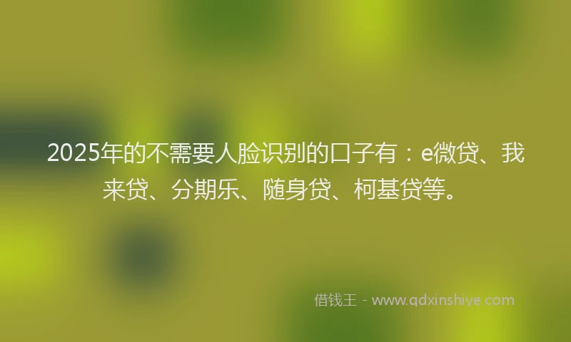 2025年的不需要人脸识别的口子有：e微贷、我来贷、分期乐、随身贷、柯基贷等。