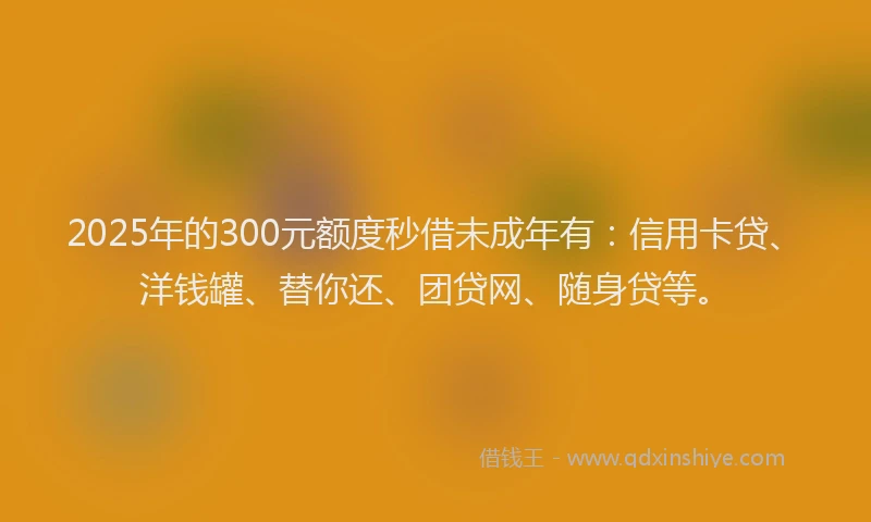 2025年的300元额度秒借未成年有：信用卡贷、洋钱罐、替你还、团贷网、随身贷等。