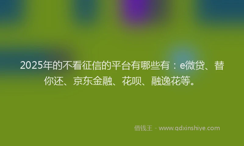 2025年的不看征信的平台有哪些有：e微贷、替你还、京东金融、花呗、融逸花等。
