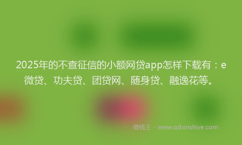2025年的不查征信的小额网贷app怎样下载有：e微贷、功夫贷、团贷网、随身贷、融逸花等。