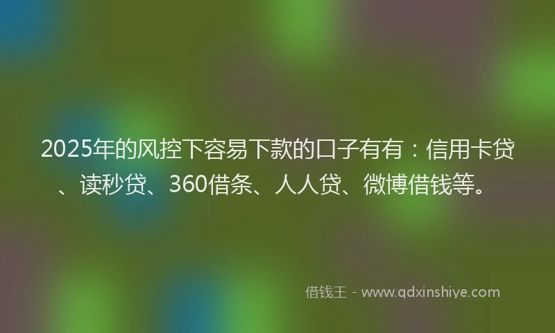 2025年的风控下容易下款的口子有有：信用卡贷、读秒贷、360借条、人人贷、微博借钱等。