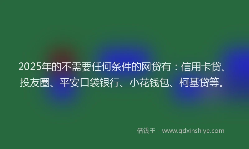 2025年的不需要任何条件的网贷有：信用卡贷、投友圈、平安口袋银行、小花钱包、柯基贷等。