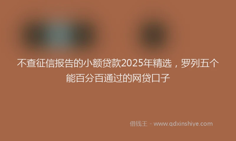 不查征信报告的小额贷款2025年精选，罗列五个能百分百通过的网贷口子