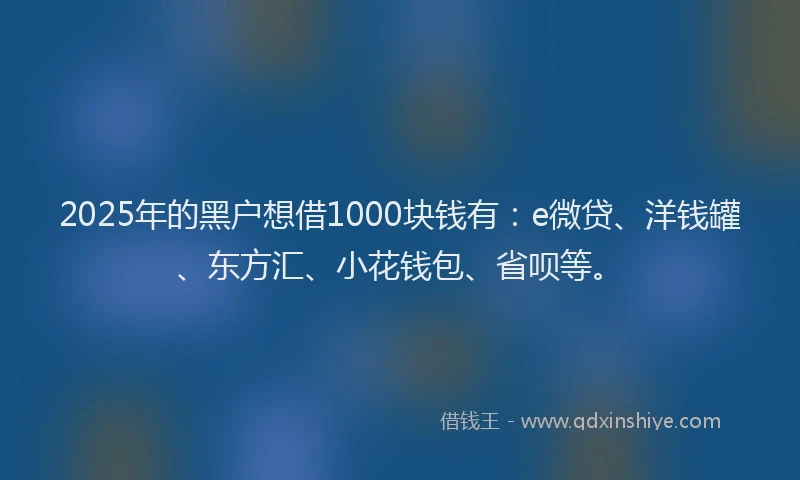 2025年的黑户想借1000块钱有：e微贷、洋钱罐、东方汇、小花钱包、省呗等。