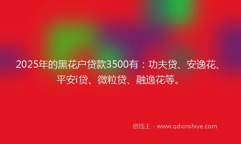 2025年的黑花户贷款3500有：功夫贷、安逸花、平安i贷、微粒贷、融逸花等。
