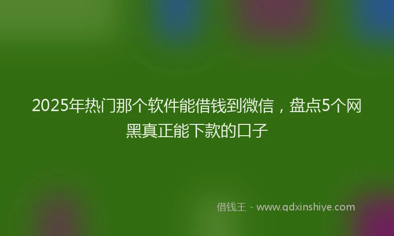 2025年热门那个软件能借钱到微信，盘点5个网黑真正能下款的口子