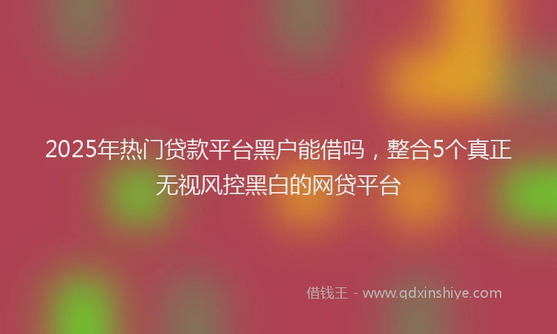 2025年热门贷款平台黑户能借吗，整合5个真正无视风控黑白的网贷平台