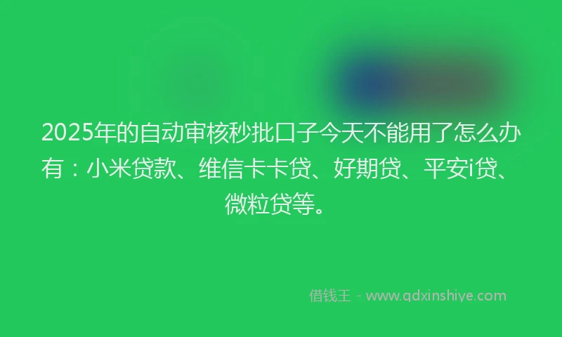 2025年的自动审核秒批口子今天不能用了怎么办有：小米贷款、维信卡卡贷、好期贷、平安i贷、微粒贷等。