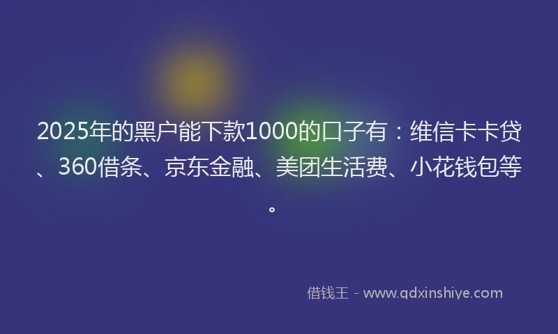 2025年的黑户能下款1000的口子有：维信卡卡贷、360借条、京东金融、美团生活费、小花钱包等。