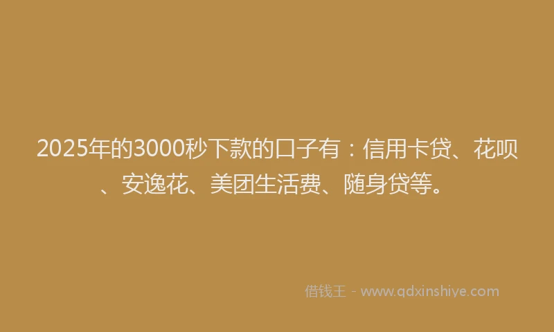 2025年的3000秒下款的口子有：信用卡贷、花呗、安逸花、美团生活费、随身贷等。