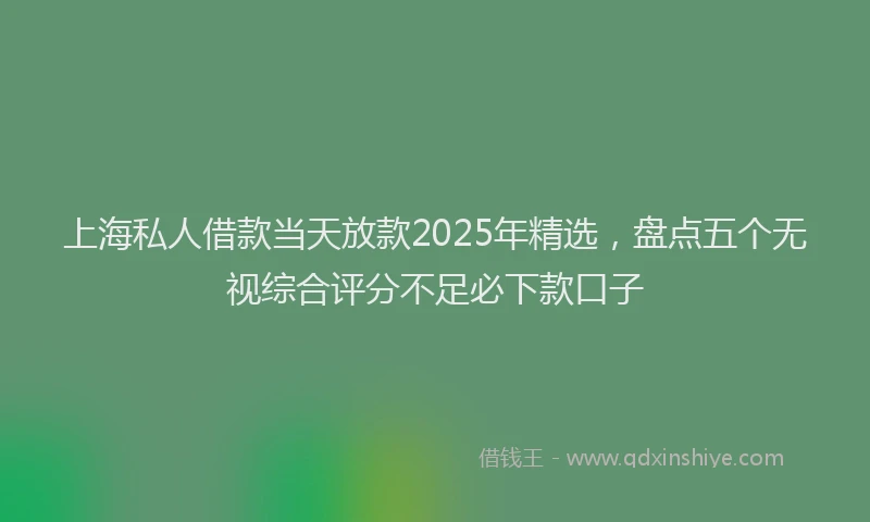 上海私人借款当天放款2025年精选，盘点五个无视综合评分不足必下款口子