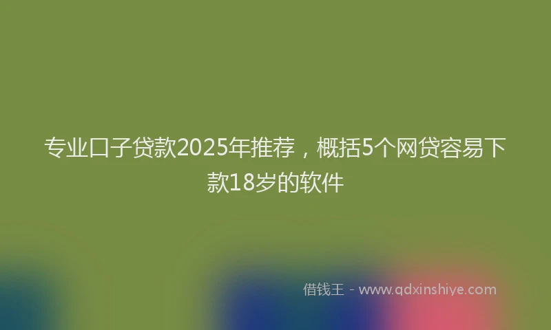 专业口子贷款2025年推荐，概括5个网贷容易下款18岁的软件