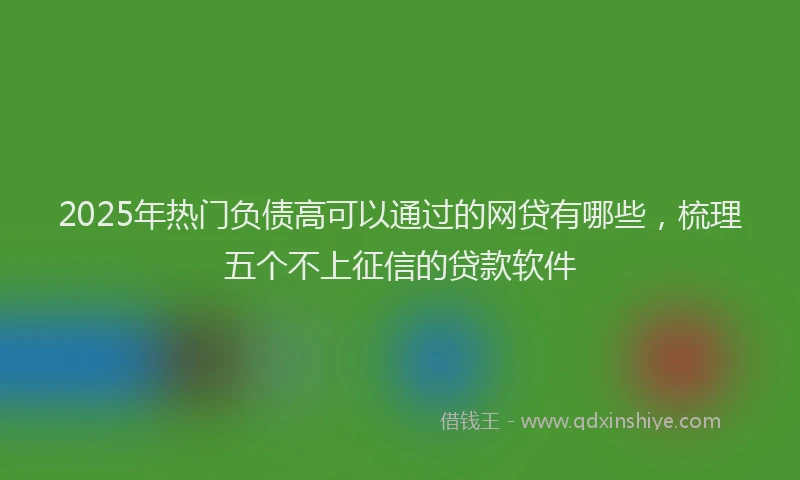 2025年热门负债高可以通过的网贷有哪些，梳理五个不上征信的贷款软件