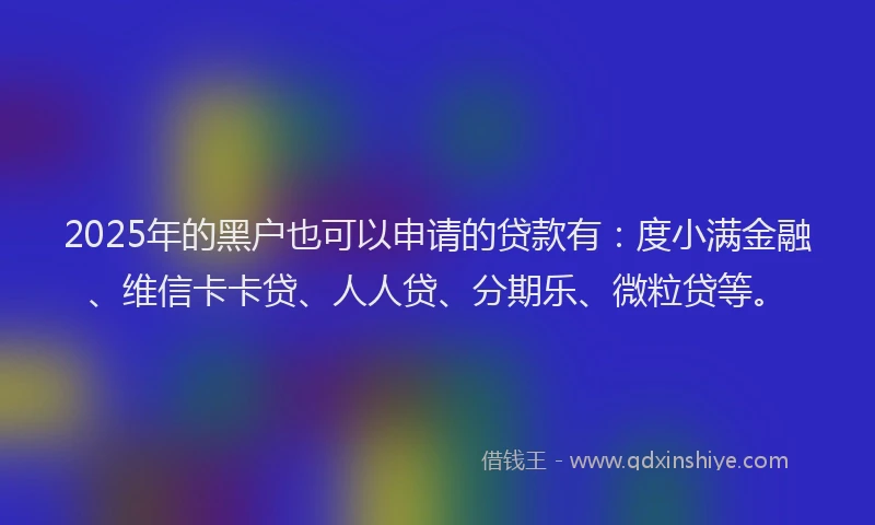 2025年的黑户也可以申请的贷款有：度小满金融、维信卡卡贷、人人贷、分期乐、微粒贷等。