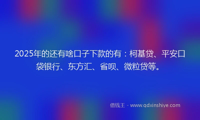 2025年的还有啥口子下款的有：柯基贷、平安口袋银行、东方汇、省呗、微粒贷等。