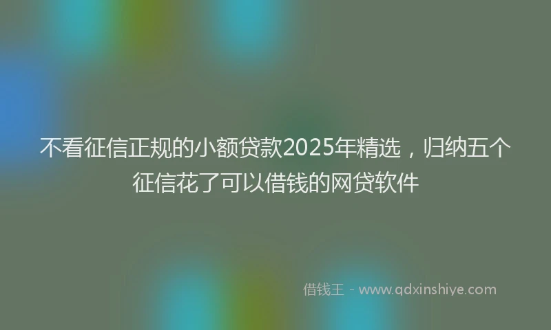 不看征信正规的小额贷款2025年精选，归纳五个征信花了可以借钱的网贷软件