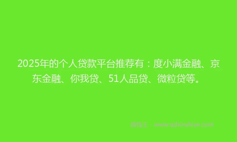 2025年的个人贷款平台推荐有：度小满金融、京东金融、你我贷、51人品贷、微粒贷等。