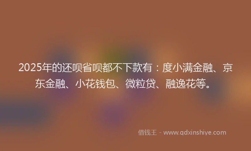 2025年的还呗省呗都不下款有：度小满金融、京东金融、小花钱包、微粒贷、融逸花等。