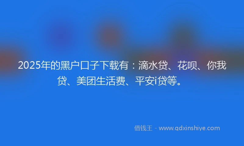 2025年的黑户口子下载有：滴水贷、花呗、你我贷、美团生活费、平安i贷等。