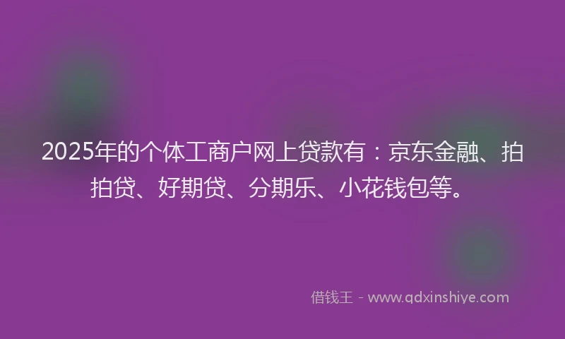 2025年的个体工商户网上贷款有：京东金融、拍拍贷、好期贷、分期乐、小花钱包等。