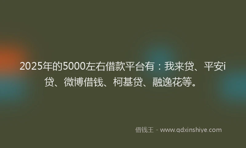 2025年的5000左右借款平台有：我来贷、平安i贷、微博借钱、柯基贷、融逸花等。
