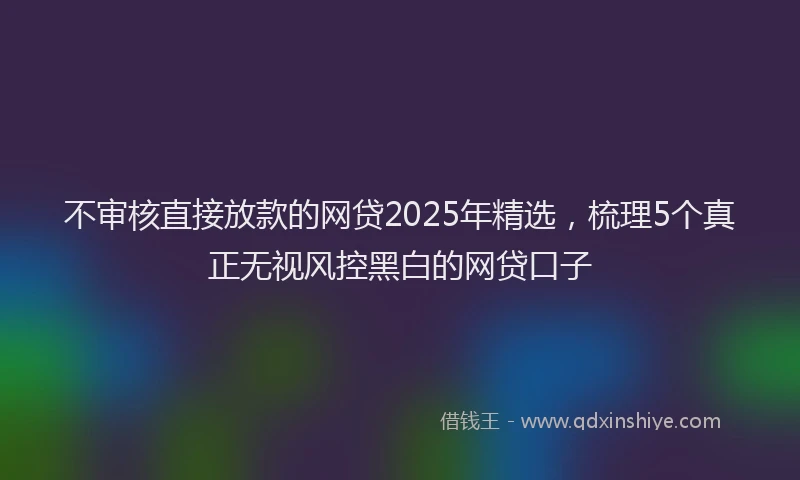 不审核直接放款的网贷2025年精选，梳理5个真正无视风控黑白的网贷口子