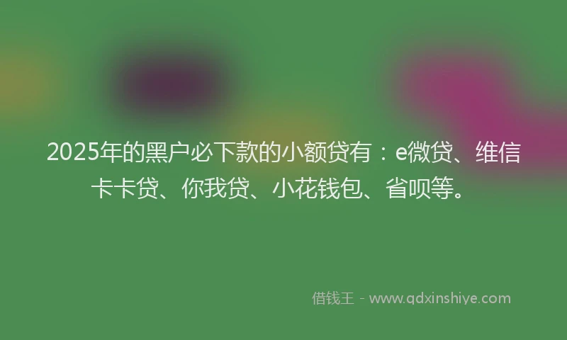 2025年的黑户必下款的小额贷有：e微贷、维信卡卡贷、你我贷、小花钱包、省呗等。
