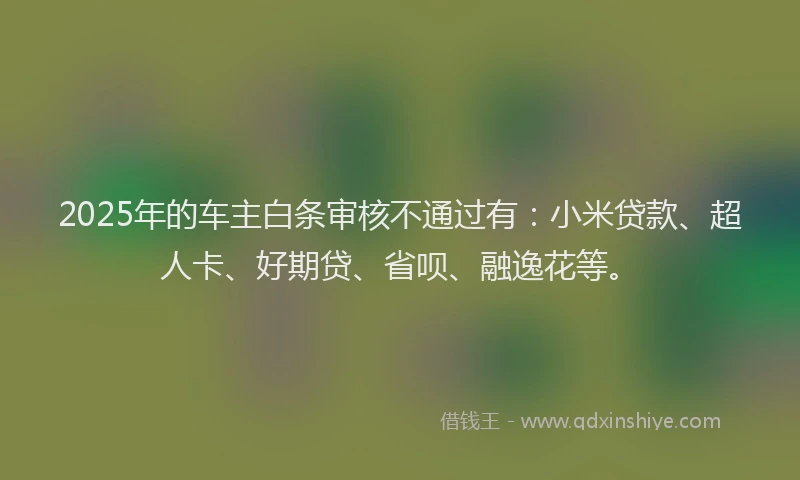 2025年的车主白条审核不通过有：小米贷款、超人卡、好期贷、省呗、融逸花等。