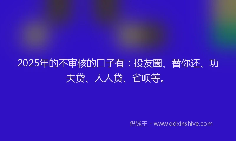 2025年的不审核的口子有：投友圈、替你还、功夫贷、人人贷、省呗等。