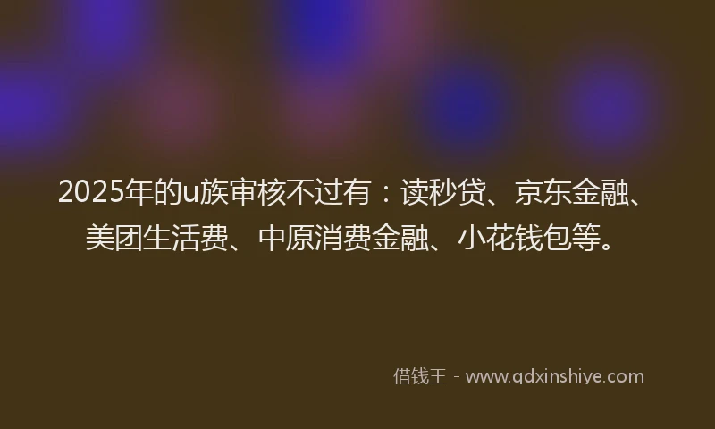 2025年的u族审核不过有：读秒贷、京东金融、美团生活费、中原消费金融、小花钱包等。