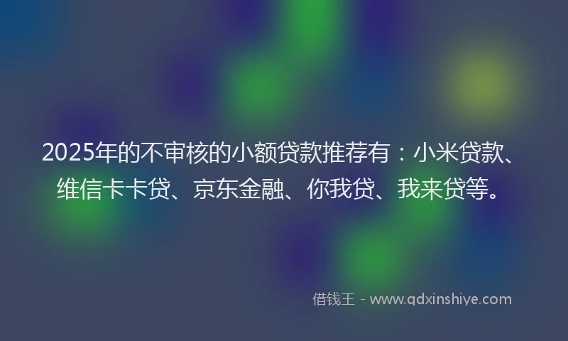 2025年的不审核的小额贷款推荐有：小米贷款、维信卡卡贷、京东金融、你我贷、我来贷等。