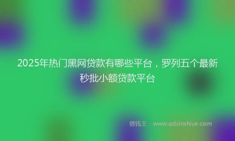 2025年热门黑网贷款有哪些平台，罗列五个最新秒批小额贷款平台