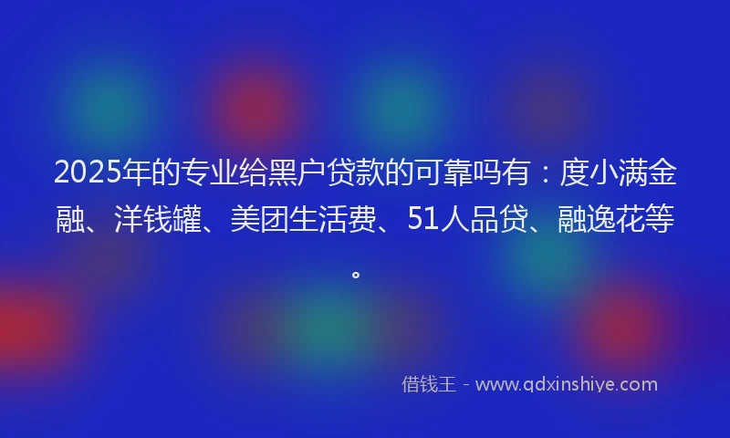 2025年的专业给黑户贷款的可靠吗有：度小满金融、洋钱罐、美团生活费、51人品贷、融逸花等。