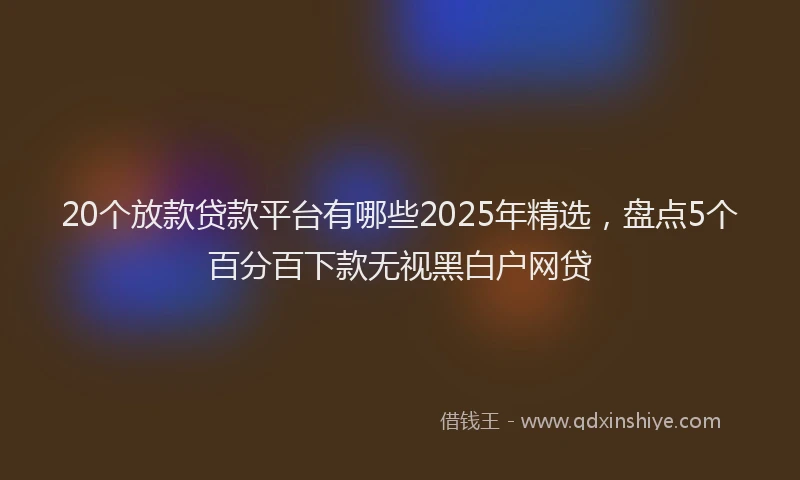 20个放款贷款平台有哪些2025年精选，盘点5个百分百下款无视黑白户网贷