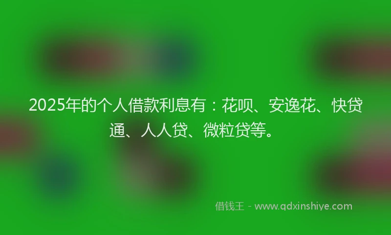 2025年的个人借款利息有：花呗、安逸花、快贷通、人人贷、微粒贷等。
