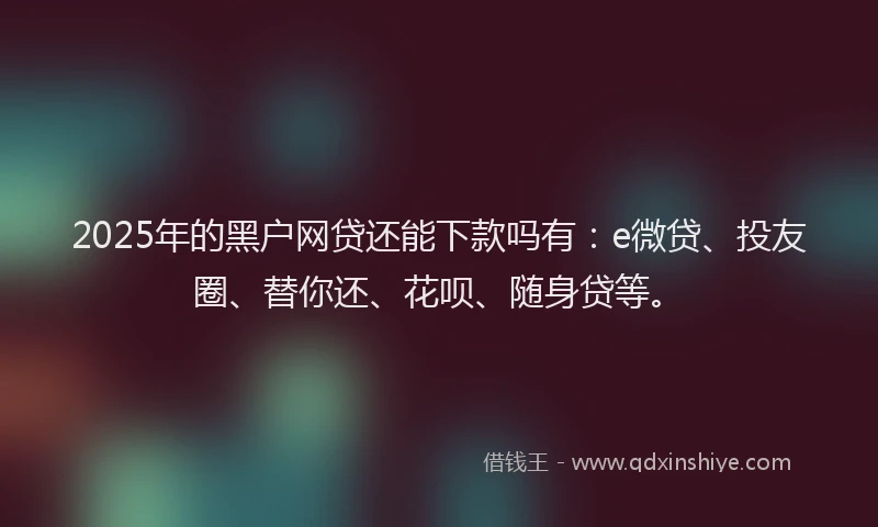 2025年的黑户网贷还能下款吗有：e微贷、投友圈、替你还、花呗、随身贷等。